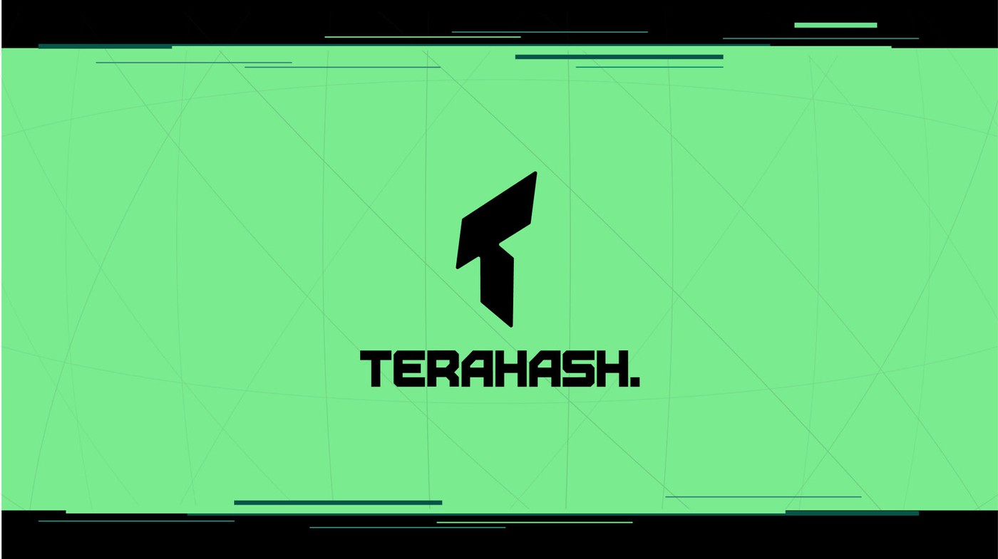 Guidebook TERAHASH
