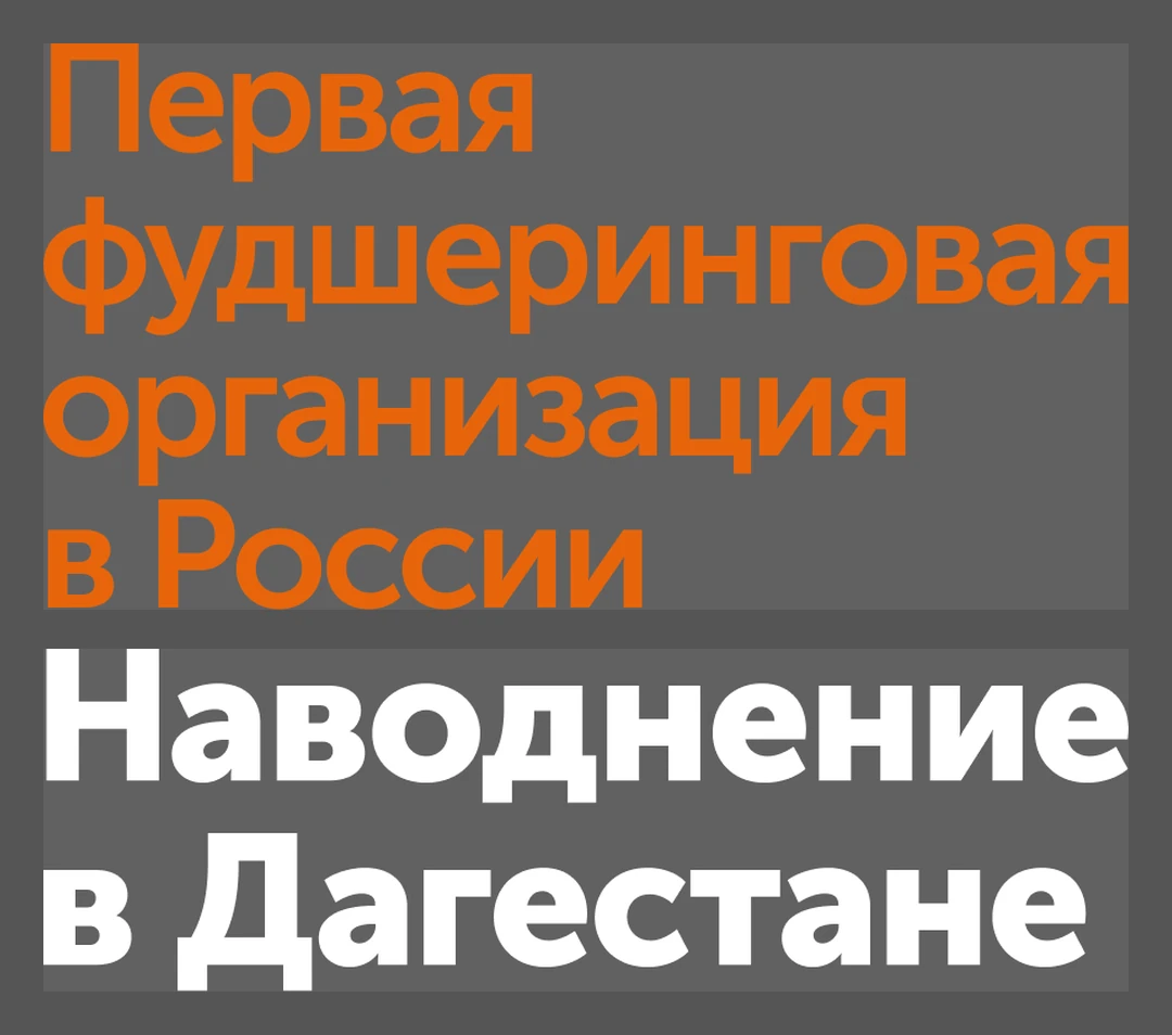 Образцы заголовков: оранжевый Bold на сером, белый Black «Наводнение в Дагестане» и пояснение «Первая фудшеринговая организация в России»