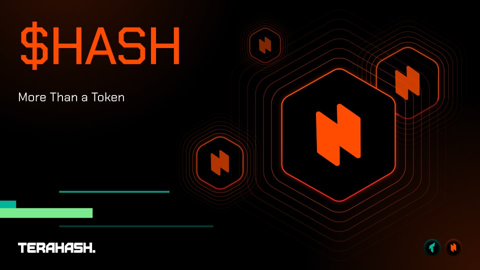 TeraHash SMM 版面 23