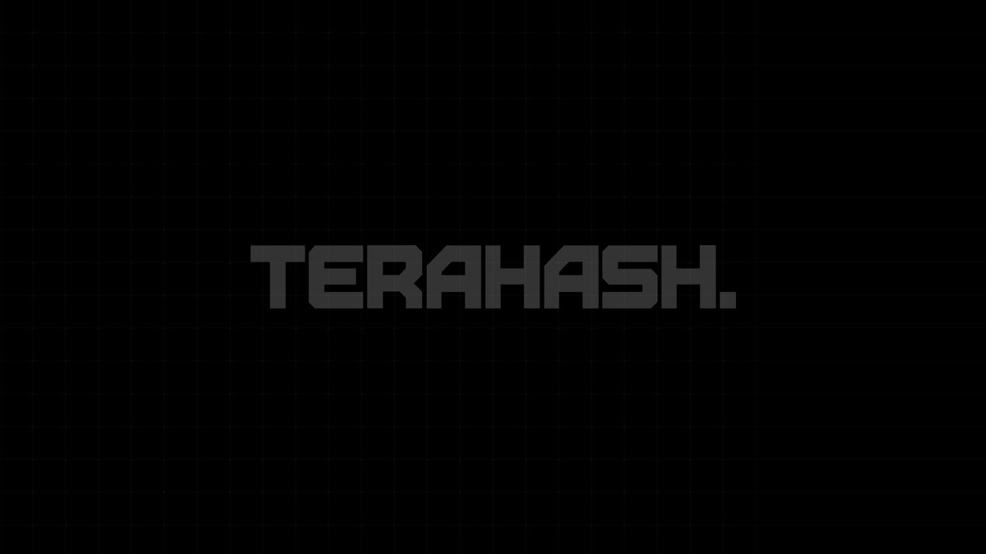 Раскадровка TeraHash, кадр 1
