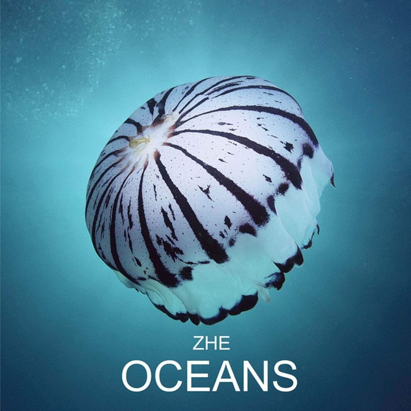 Cover Oceans