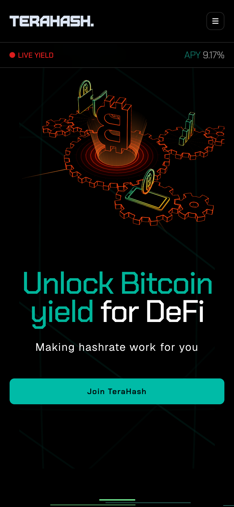 TeraHash — mobile version of the site