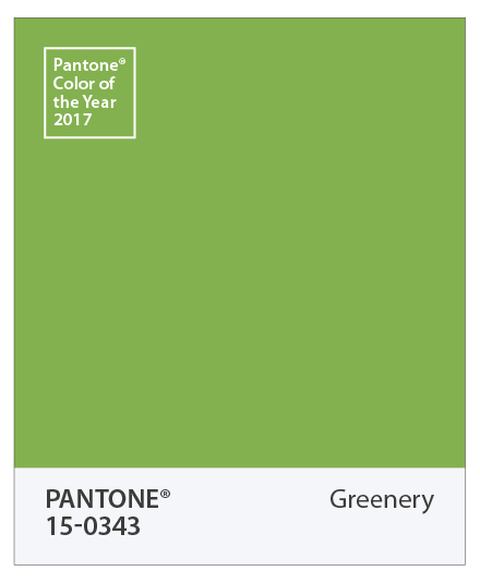 Pantone Memory — карточка цвета года